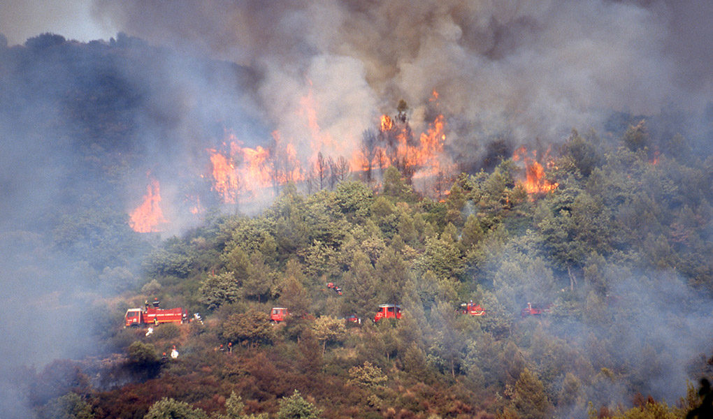 incendie de foret