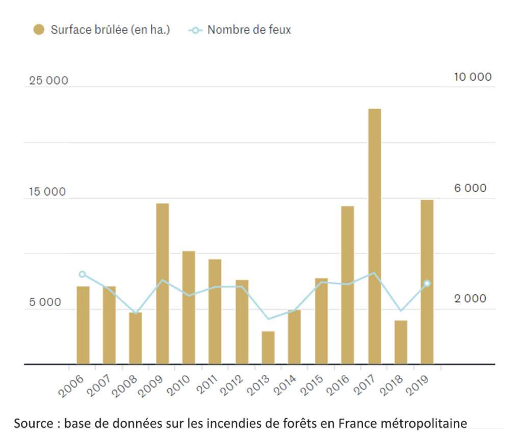 feux hectares brûlés France