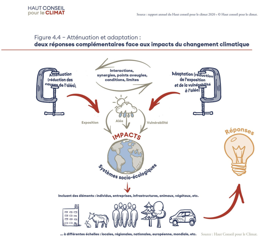 atténuation et adaptation changement climatique